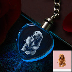 Kundenspezifisches Foto-Kristall-Schlüsselanhänger Haustier-Andenken-Kristall-Schlüsselanhänger Herz-Form-Foto Keychain