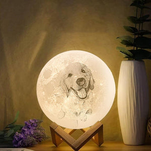 Foto Gravur 3D Druck Mond Lampe | Berühren Sie 2 Farben | Schönes Haustier