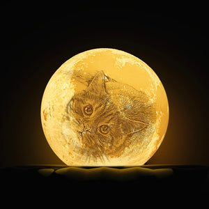 Foto Gravur 3D Druck Mond Lampe | Fernsteuerung 16 Farben | Schönes Haustier