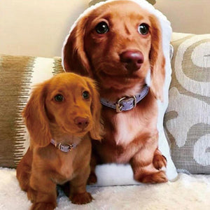 Benutzerdefiniertes Hundekissen 3D Haustierporträt Dekokissen