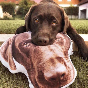 Benutzerdefiniertes Hundekopf-Foto-Kissen 3D Haustier-Gesicht-Porträt Dekokissen
